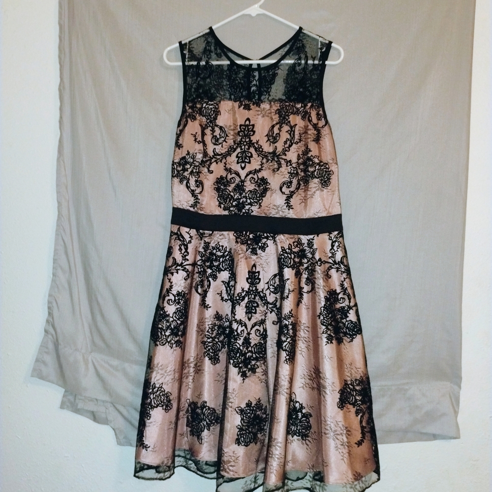The Limited Black and Pink Sleeveless Lace Dress Size 14
